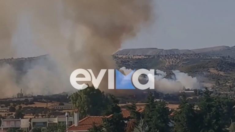 Φωτιά σε δασική έκταση στο Κοντοδεσπότι Ευβοίας – Μεγάλη κινητοποίηση της Πυροσβεστικής