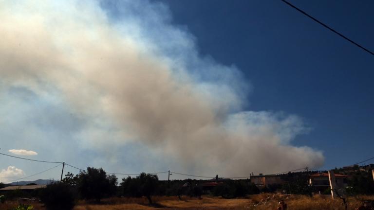 Μεγάλη φωτιά στην Κορινθία — Στη μάχη επίγειες και εναέριες δυνάμεις