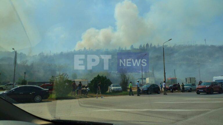 Πρέβεζα: Πυρκαγιά στην γέφυρα Καλογήρου στην Φιλιππιάδα – Μήνυμα από το 112