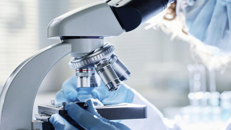 μικροσκόπιο 