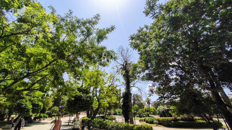 Ηλιόλουστος καιρός