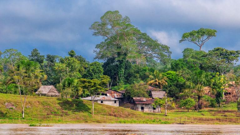 φυλή αμαζονιος