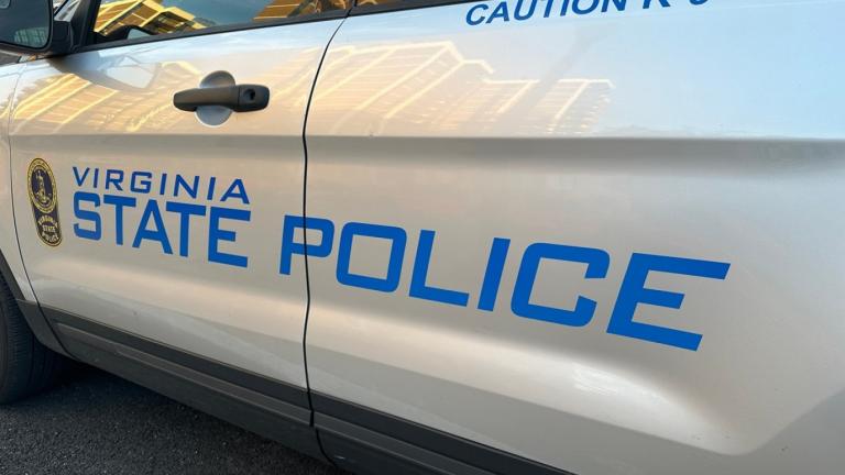 βιρτζίνια περιπολικό