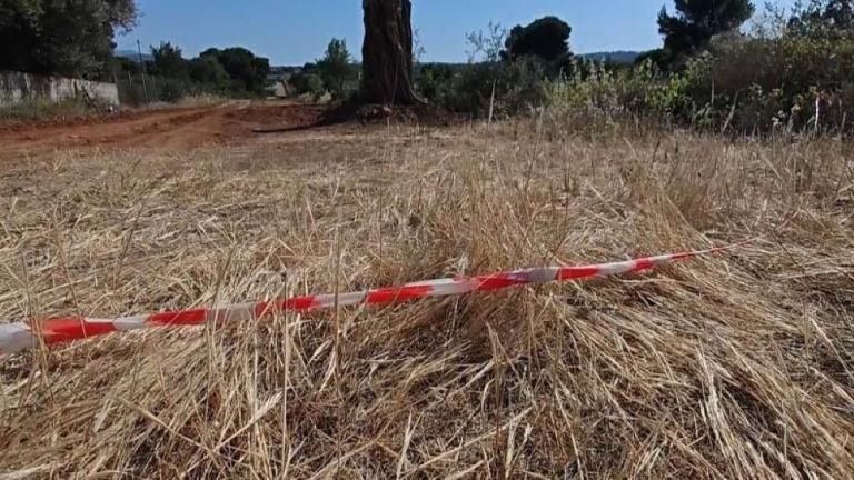 δολοφονία ραφηνα