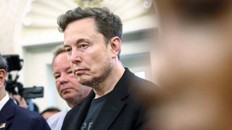 elon mask