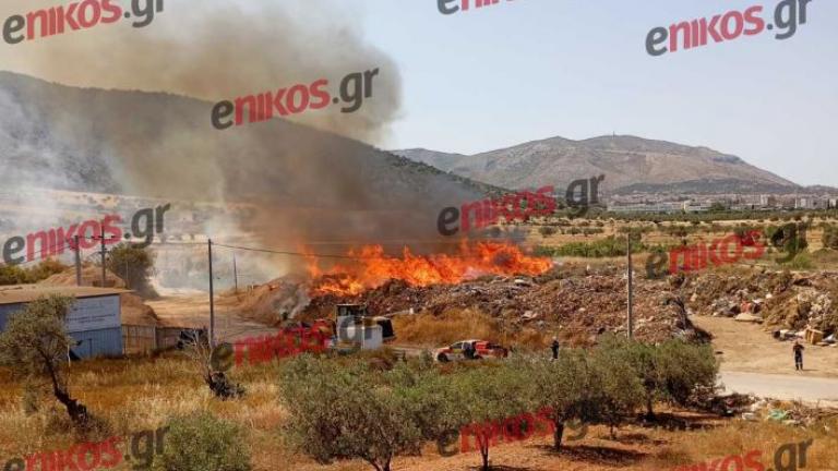 Φωτιά στο Μαρκόπουλο: Μήνυμα από το 112 - «Κλείστε πόρτες και παράθυρα»