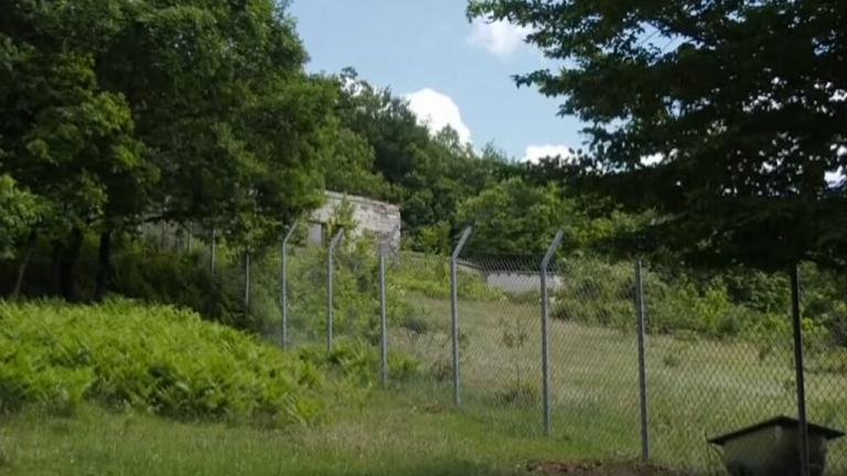 κρυσφήγετο του Τούρκου