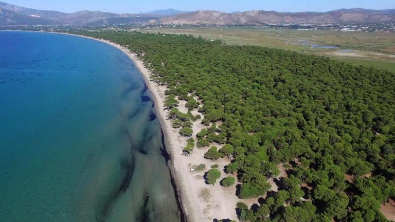 Κατεπείγουσα εισαγγελική έρευνα για παράνομες κατασκευές στο πάρκο του Σχινιά