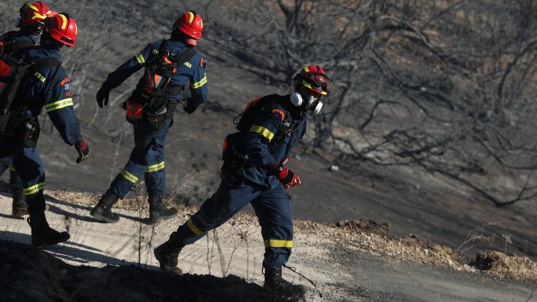 Πυρκαγιά στην Παλαιά Φώκαια: Μάχη με τις φλόγες για να σωθούν σπίτια — Τουλάχιστον 40 απεγκλωβισμοί — Οι τελευταίες εξελίξεις