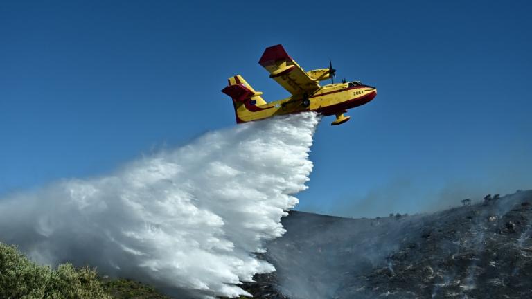 Σε ύφεση η πυρκαγιά στην Παλαιά Φώκαια - Μάχη για πλήρη έλεγχο - Κάηκαν σπίτια