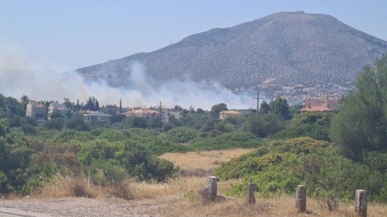 Υπό έλεγχο η φωτιά σε Ανάβυσσο και Παλαιά Φώκαια - Απειλήθηκαν σπίτια