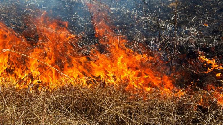 ΦΩΤΙΑ, ΠΥΡΚΑΓΙΑ 