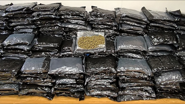 Αεροδρόμιο «Ελ. Βενιζέλος»: 185 κιλά ακατέργαστης κάνναβης εντοπίστηκαν σε αποθήκη τελωνείου 