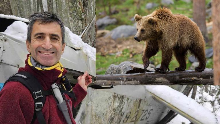 ορειβατης αρκουδα