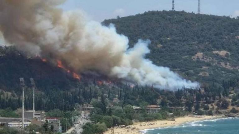 kavala fotia