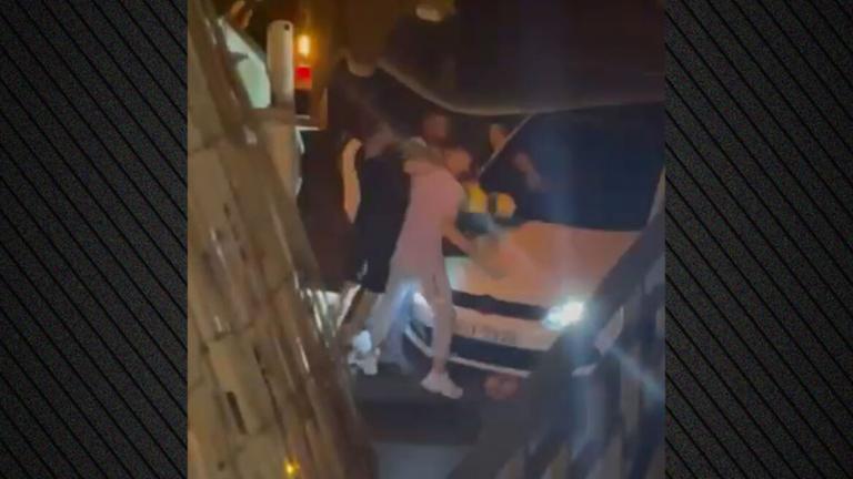 κυψέλη ξυλοδαρμός