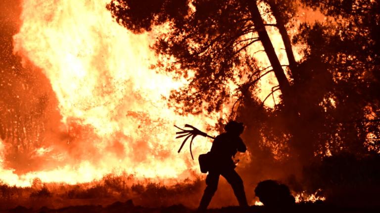 Πύρινη κόλαση στον Ωρωπό: Ολονύχτια μάχη με τις φλόγες - Απειλούνται σπίτια - Εκκενώθηκε το Ασπροχώρι