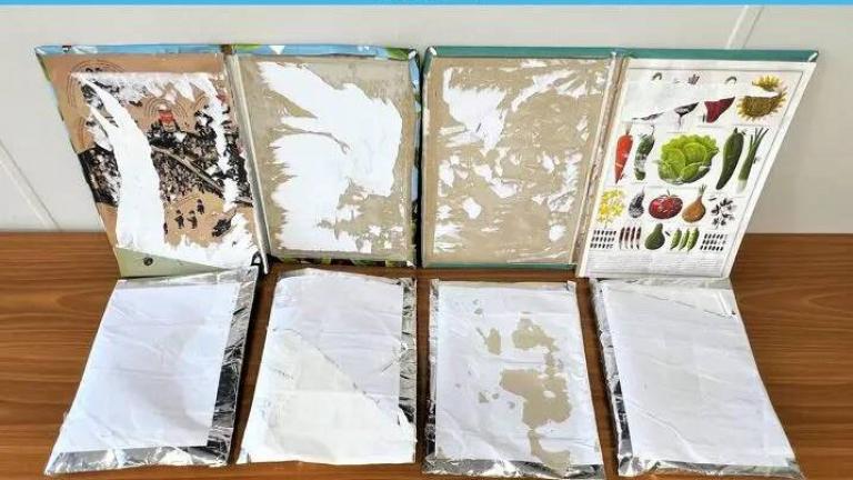«Ελ. Βενιζέλος»: Συνελήφθη 35χρονος που είχε κρύψει 2,7 κιλά κοκαΐνης σε εξώφυλλα παιδικών βιβλίων