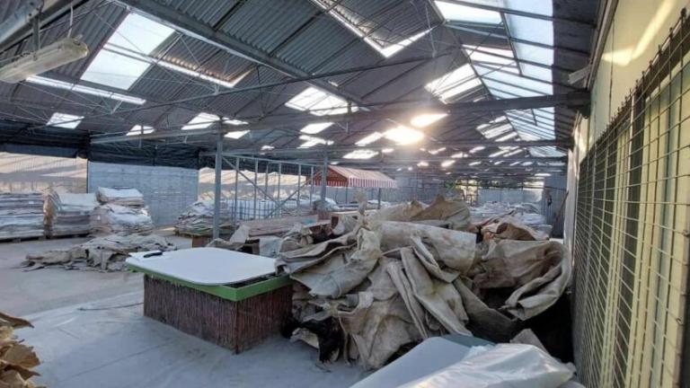 σπειρα κοκαινης