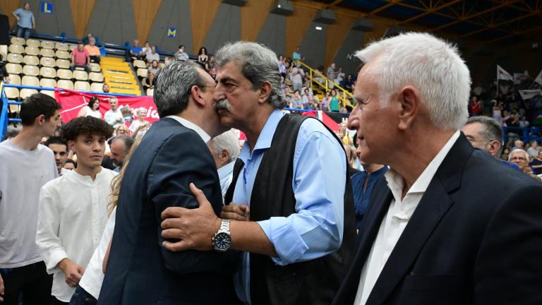 πολακης φαμελλος