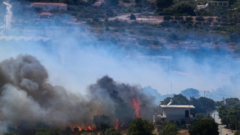 Η επόμενη μέρα σε Πικέρμι, Ραφήνα και Σπάτα μετά την πυρκαγιά: Ξεκινούν αυτοψίες στις κατεστραμμένες κατοικίες