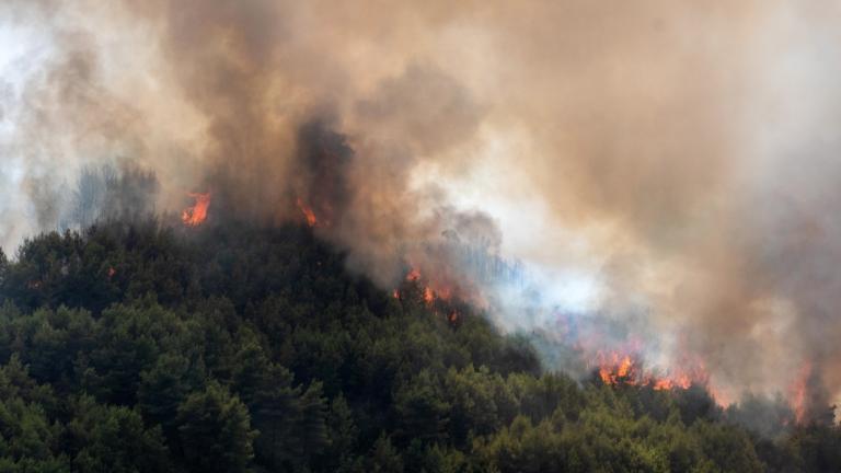 Αμαλιάδα: Σημαντικά βελτιωμένη η εικόνα της πυρκαγιάς - Συνεδρίαση του Συντονιστικού