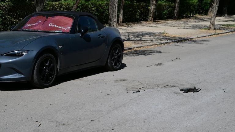 Ζάπειο αυτοπυρπολισμος