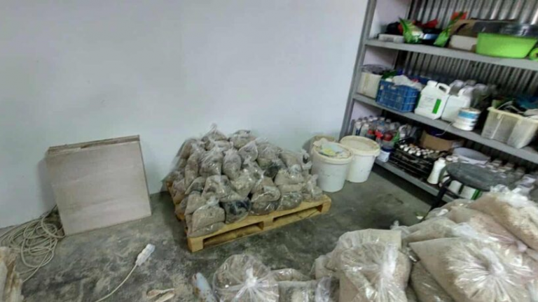 ΕΛΑΣ: Έντεκα συλλήψεις σε εξάρθρωση κυκλώματος ναρκωτικών - Εμπότιζαν δέρματα με κοκαΐνη