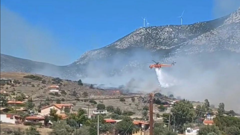 Βοιωτία: Καλύτερη η εικόνα της φωτιάς στην Αλυκή - «Προλάβαμε τα χειρότερα» δήλωσε ο δήμαρχος Θηβαίων
