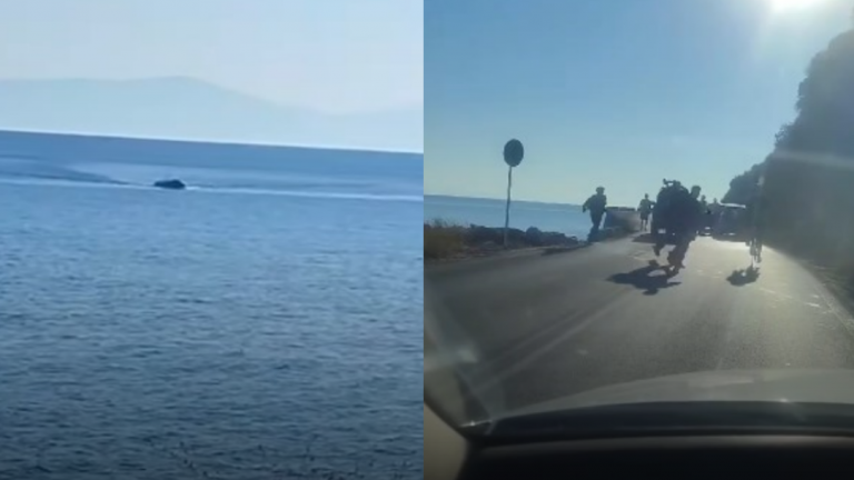 Απίστευτο περιστατικό στη Σάμο – Παράνομοι εισερχόμενοι μετανάστες σταματούν την κυκλοφορία