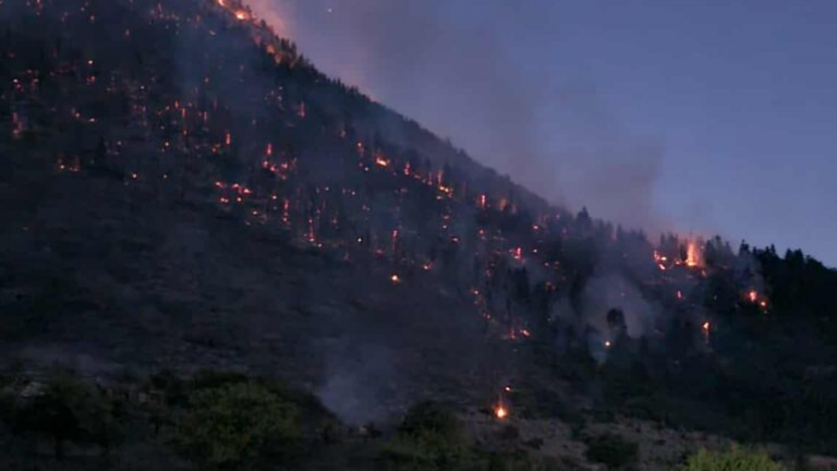 Κορινθία: Βελτιωμένη η εικόνα της πυρκαγιάς στον Φενεό μετά την απογευματινή αναζωπύρωση – Υπάρχουν διάσπαρτες εστίες