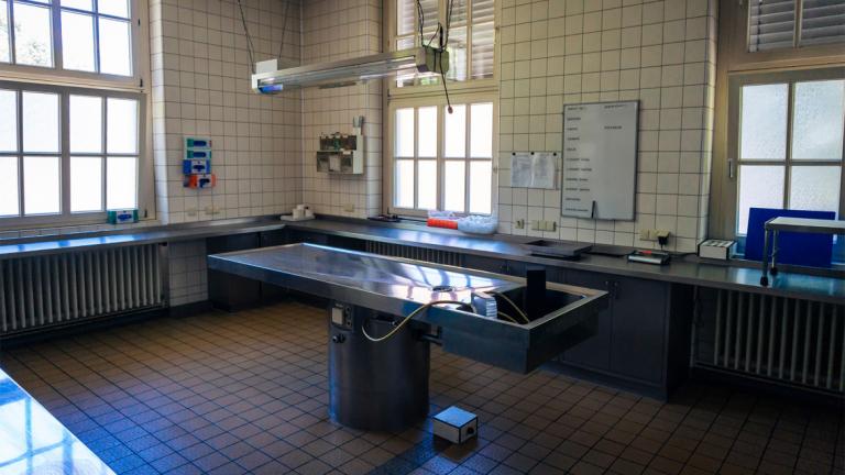 Οι υποθέσεις Πισπιρίγκου και Μουρτζούκου αφορμή για ριζικές αλλαγές στις Ιατροδικαστικές Υπηρεσίες - Πώς θα λειτουργεί ο νέος AI ψηφιακός βοηθός στις νεκροτομές