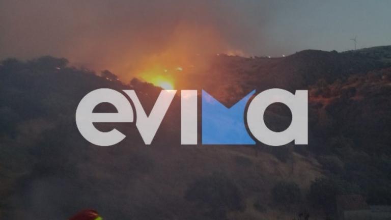 φωτια ευβοια