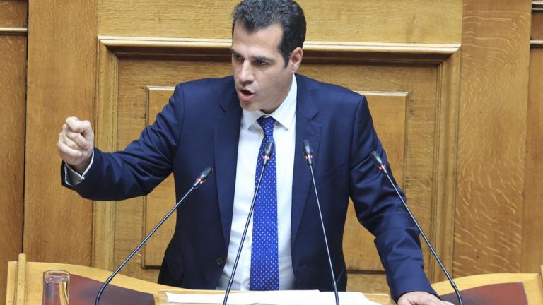 πλευρης