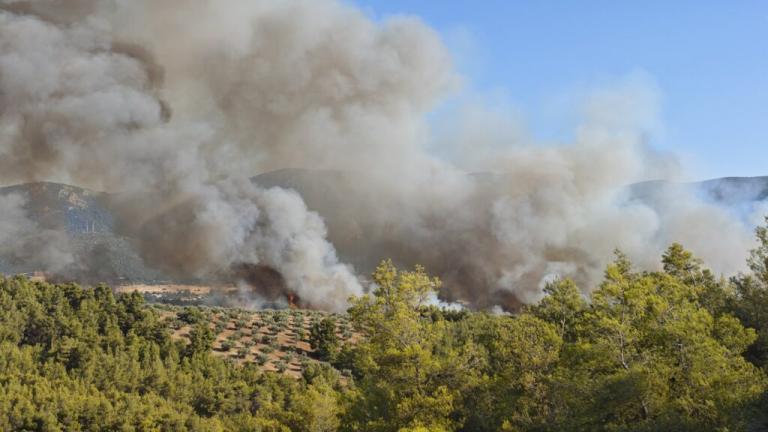 Πυρκαγιά στον Ωρωπό: Επιχειρούν 19 πυροσβεστικά αεροπλάνα και ισχυρές επίγειες δυνάμεις – Μήνυμα 112 για προληπτική εκκένωση