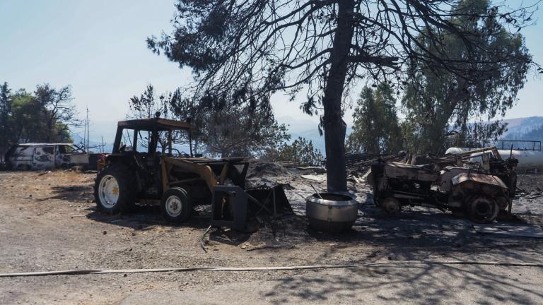 φωτια ευβοια