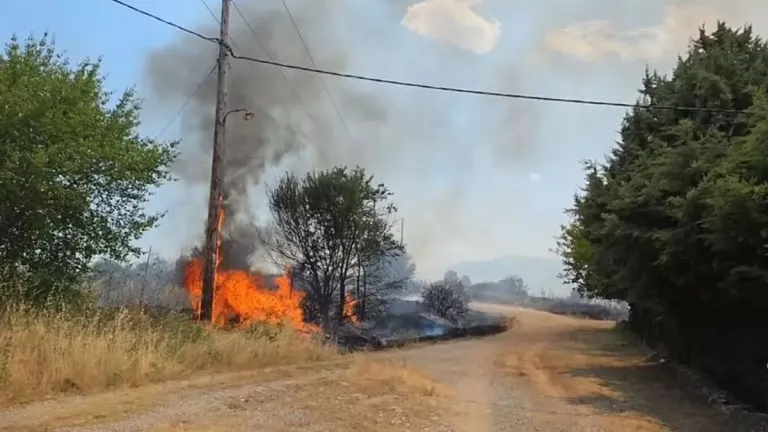 Κοζάνη: Σε ύφεση η φωτιά στον Άργιλο - Ήχησε το 112, εκκενώθηκε το πανεπιστήμιο