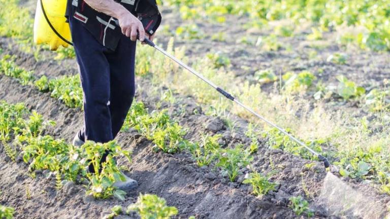 φυτοφαρμακα