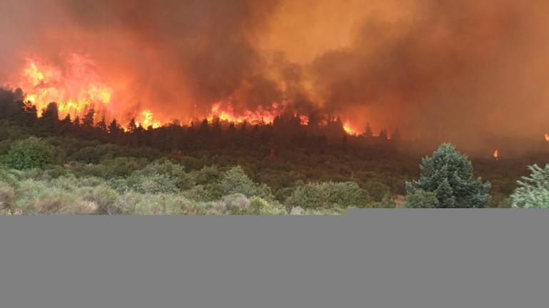 Μεγάλη αναζωπύρωση στον Φενεό Κορινθίας - Μήνυμα από το 112 για εκκένωση τριών οικισμών