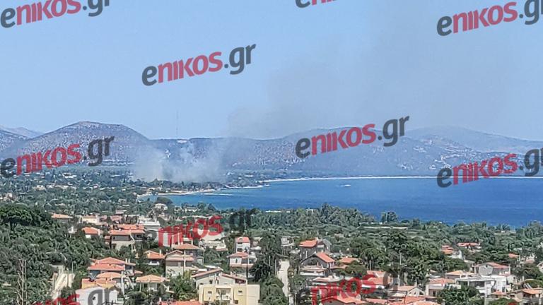 Φωτιά στον Μαραθώνα - Μήνυμα από το 112