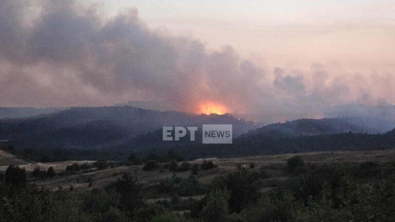 Χωρίς ενεργό μέτωπο οι πυρκαγιές σε Θεσπρωτία και Κιλκίς - Σε εξέλιξη φωτιές σε Καστοριά και Ευρυτανία