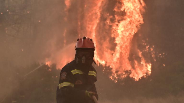 pyrkagia pyrosvestis.