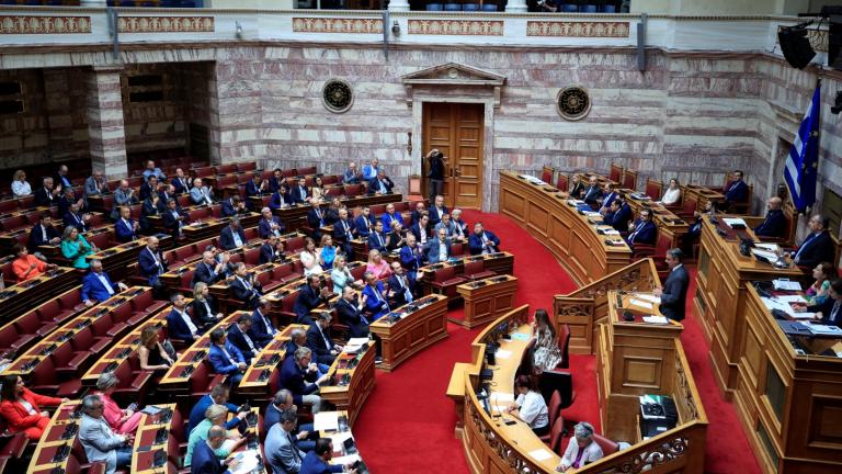 vouli sizitisi 
