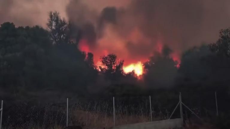 φωτια ευβοια