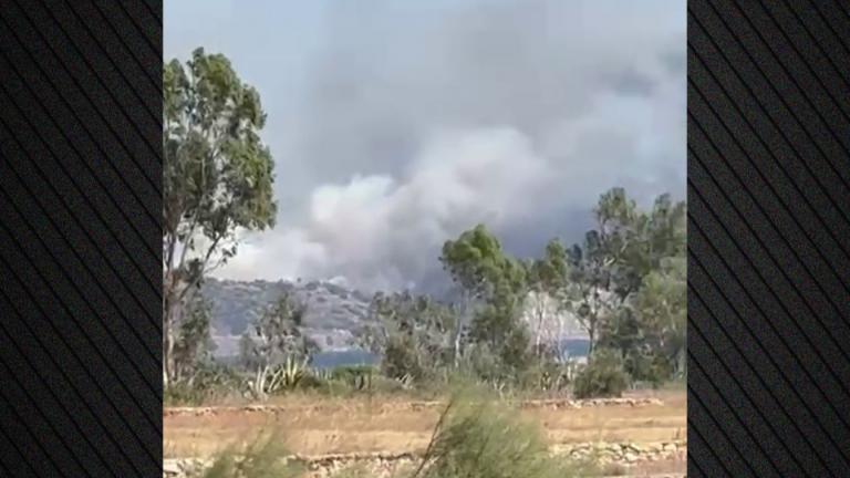 λακωνια φωτια