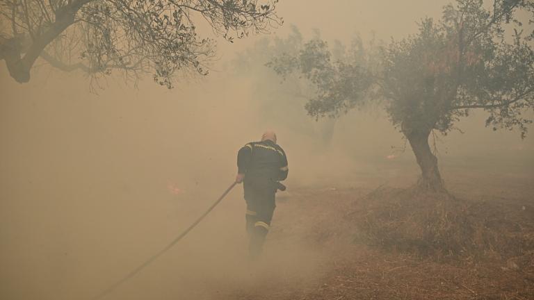 Μεγάλη πυρκαγιά στην Κερατέα: Καίγονται σπίτια, εκκενώνονται οικισμοί - Τεράστια μάχη της Πυροσβεστικής εν μέσω ισχυρών ανέμων