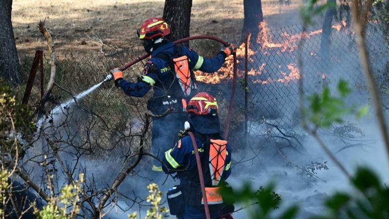 Φωτιά στην Κερατέα: Ιδιαίτερα δυσμενείς οι πυρομετεωρολογικές συνθήκες μέχρι το απόγευμα - Πότε θα κοπάσουν