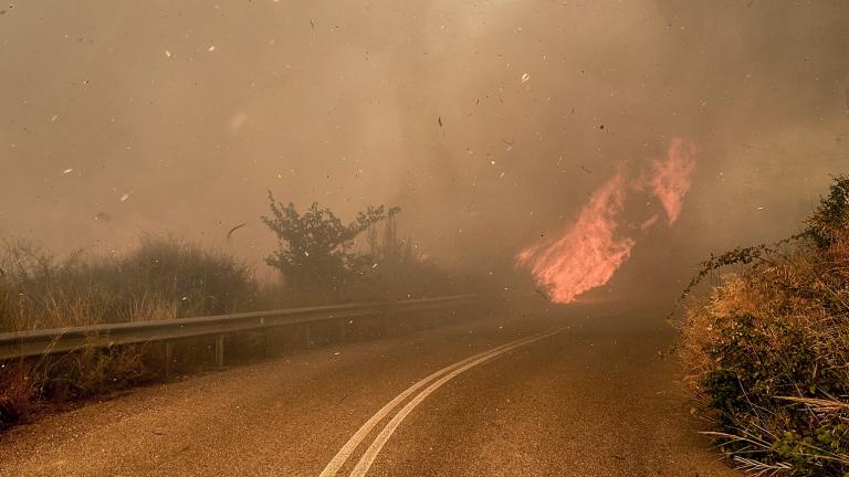 φωτια ηλεια