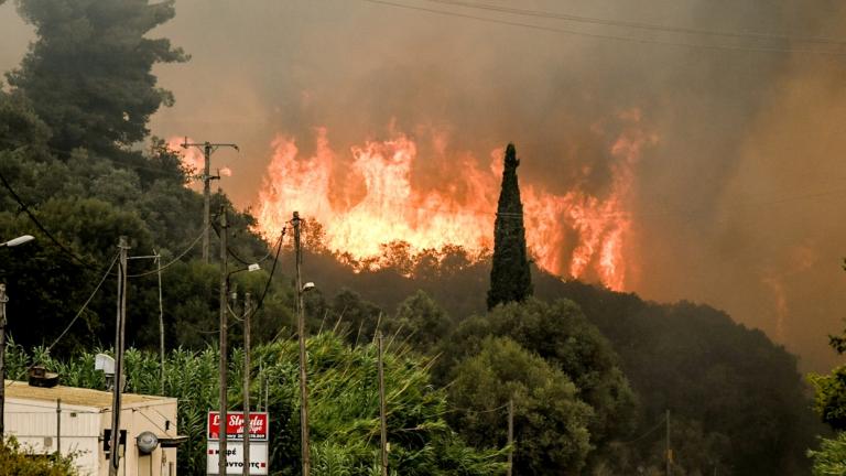 Φωτιά στη Δυτική Αχαΐα: Εκκενώσεις οικισμών – Κάηκαν επιχειρήσεις – Ένας εγκαυματίας στο νοσοκομείο – Επιχειρούν 11 εναέρια μέσα