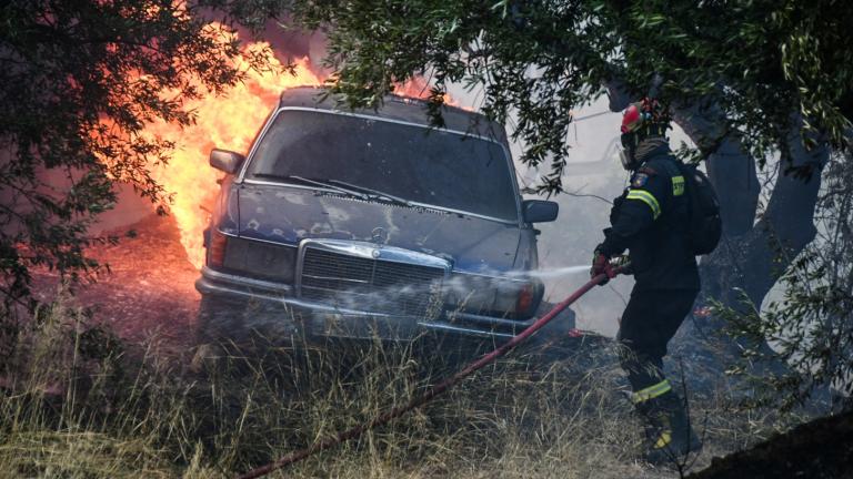 Πυρκαγιές: Δύσκολες στιγμές σε Αχαΐα, Χίο, Πρέβεζα και Ζάκυνθο - Εικόνες καταστροφής από τα πύρινα μέτωπα